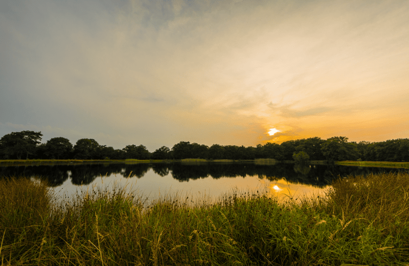 Ontdek Drenthe wandelend of op de fiets