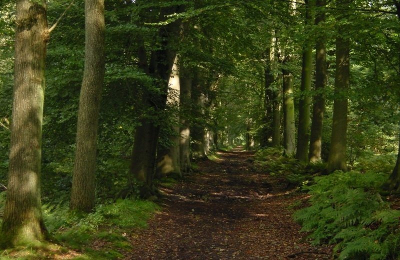 Fiets- en wandelroutes