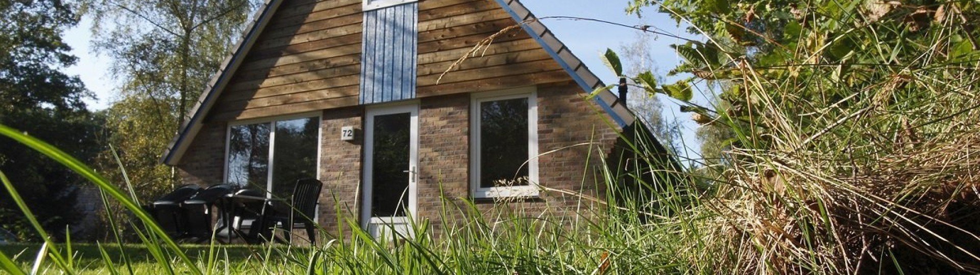 C bung paddenstoel 2 68de34d7b00a5