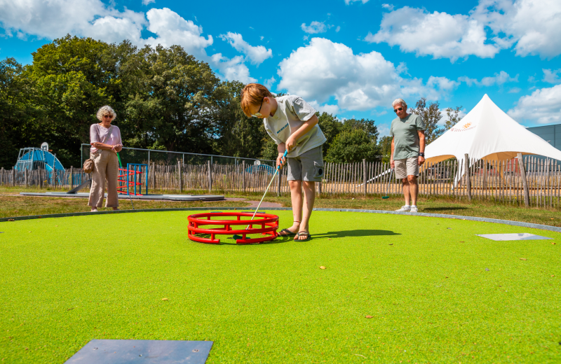 Download 20 68b2aed20bc9b