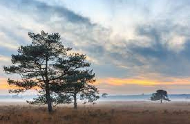 Nationaal park Drents-Friese Wold