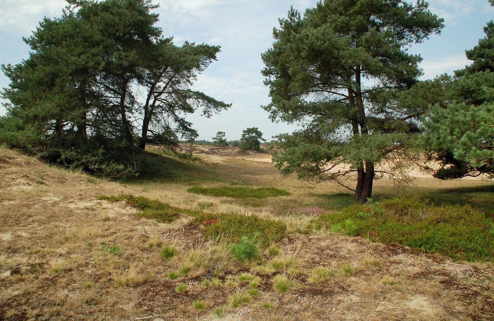 Ferienpark im sch&ouml;nen Drenthe