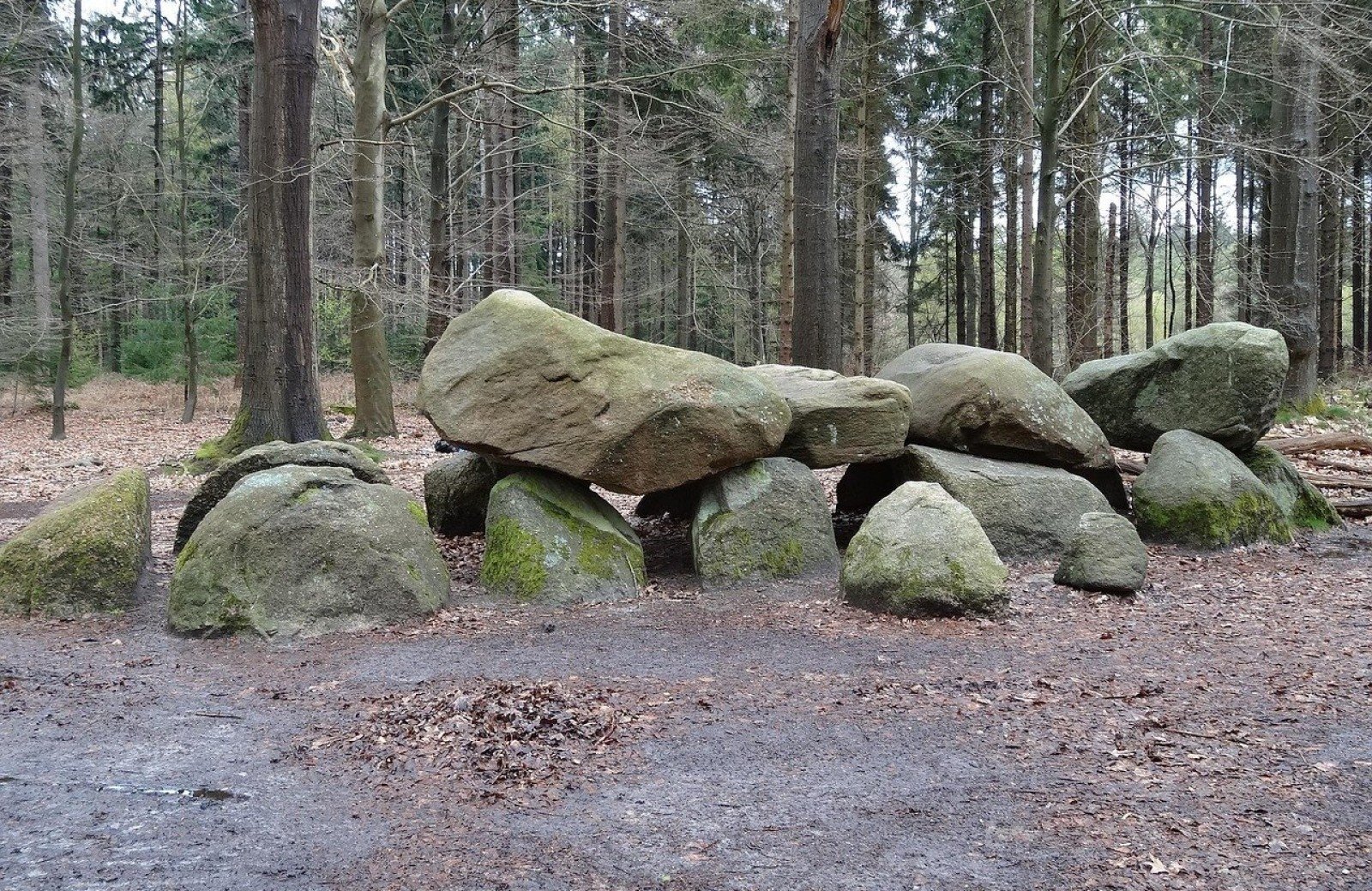 H&uuml;nengr&auml;ber (Dolmen) in der N&auml;he des Ferienparks Witterzomer in Holland