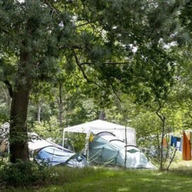 Nazomer voordeel 15 dagen