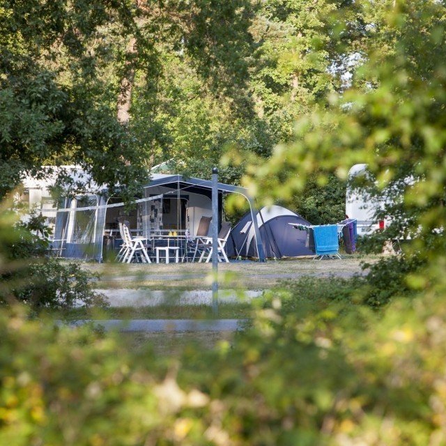 6 weeks arrangement zomervakantie 2026