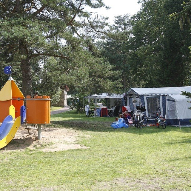 Zomerweek voordeel 2026