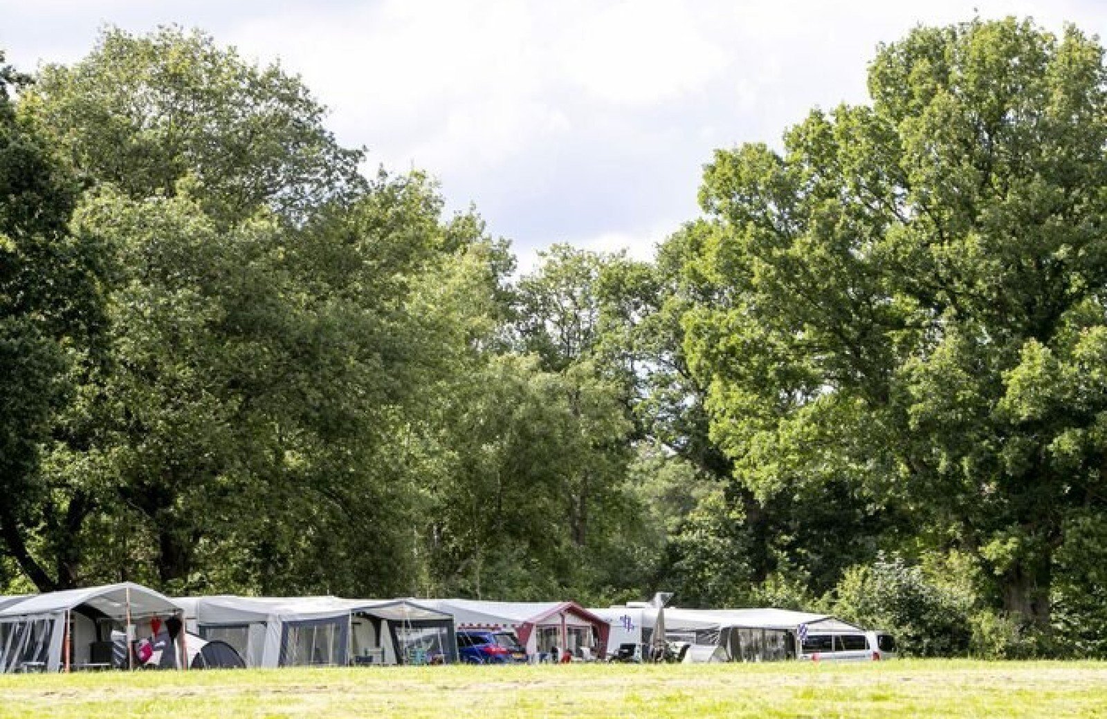 Strandweide plekken 658 668 4