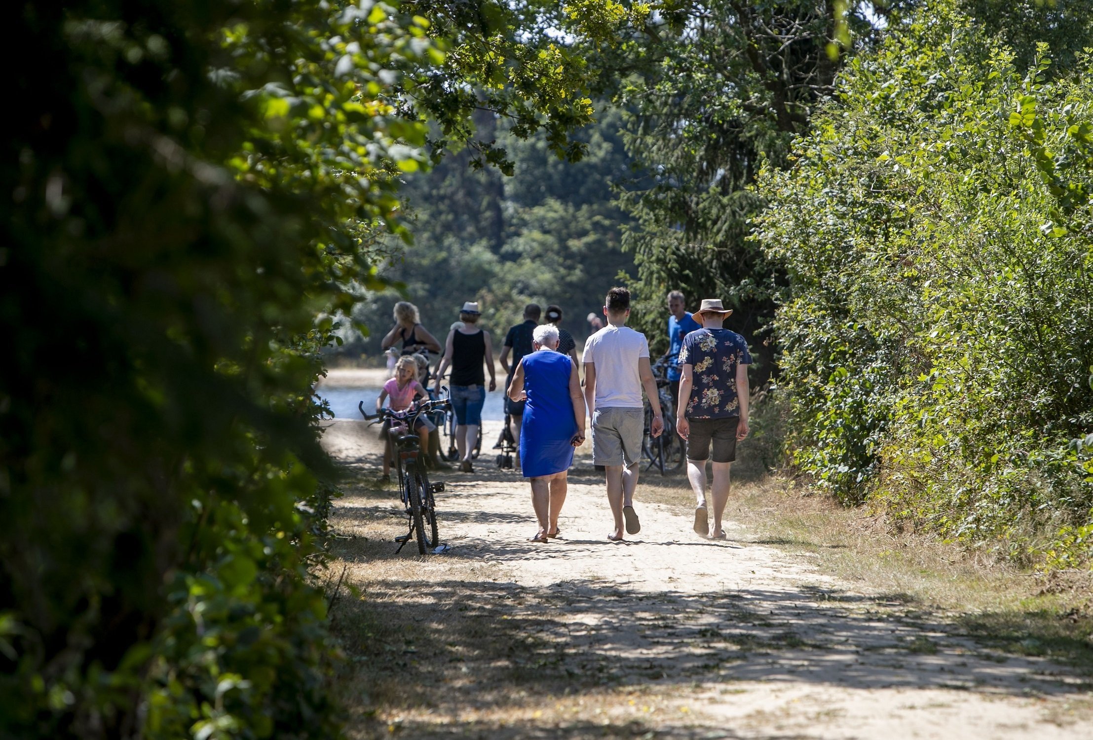 Wandelen naar zwemvijver